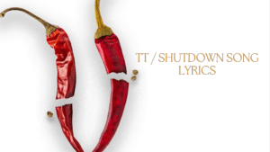 TT / Shutdown Song Lyrics - Seedhe Maut 2024